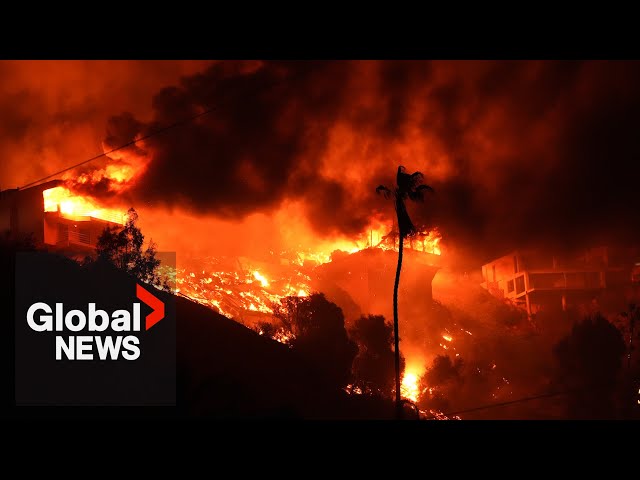 ⁣LA wildfires: How record rain contributed to the devastation of the California fires