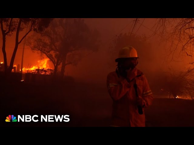 ⁣Gadi Schwartz goes inside the Eaton Fire hellscape