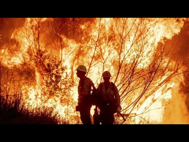 ⁣At least 10 believed to be dead in California fires with officials expecting the death toll to rise