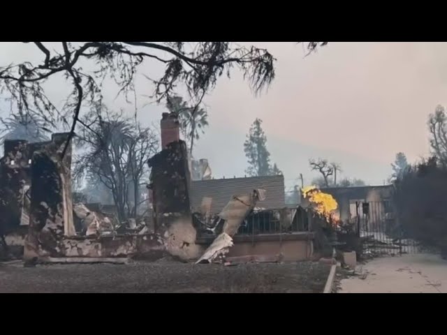 ⁣South Florida native loses everything in the Los Angeles fire