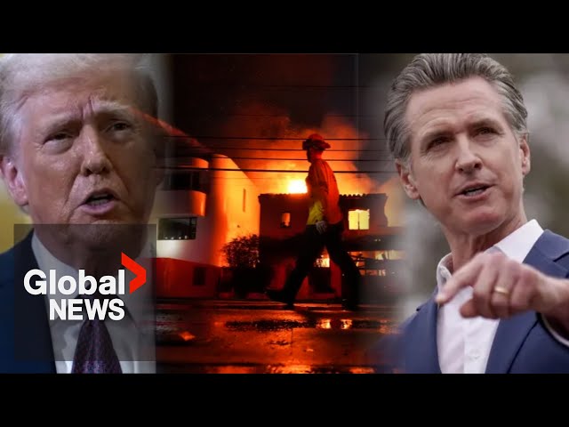 ⁣LA wildfires: Trump blames California governor Newsom for catastrophe