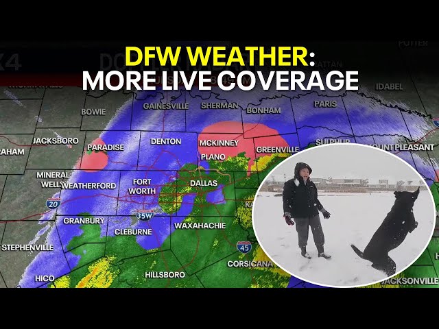 ⁣LIVE: Dallas weather updates, road conditions and more | FOX 4 News