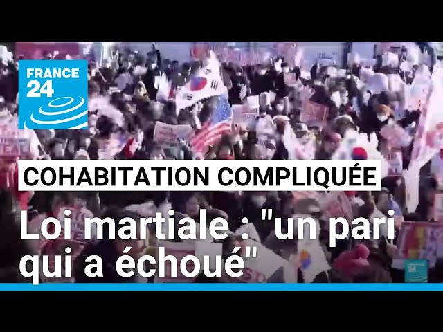 ⁣"Forte polarisation" : Les institutions de la Corée du Sud "sont encore solides"