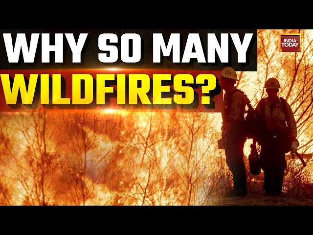 ⁣California Wildfires: Why Does California Have So Many Wildfires? Is Climate Change Involved?