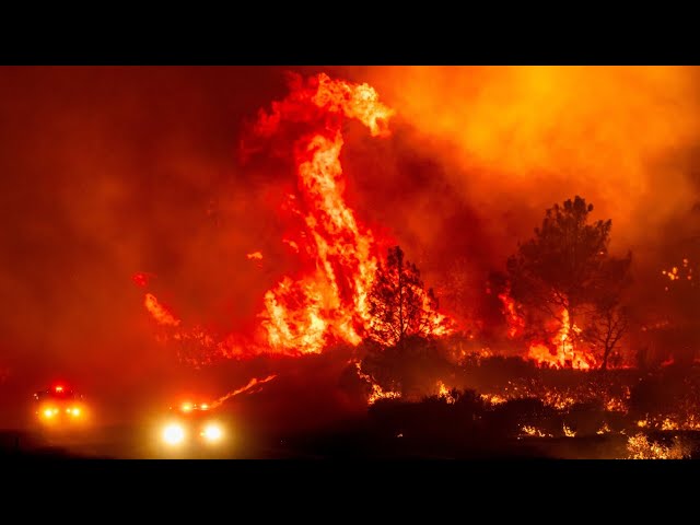 ⁣‘Tragic’: California government facing scrutiny over LA wildfires