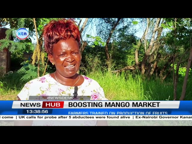 ⁣Boosting mango market: Farmers trained on mango production