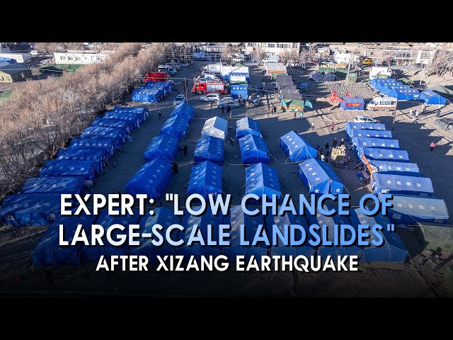 ⁣Expert: Low chance of large-scale landslides after Xizang earthquake