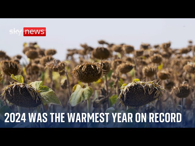 ⁣2024 becomes first year to pass 1.5C global warming threshold