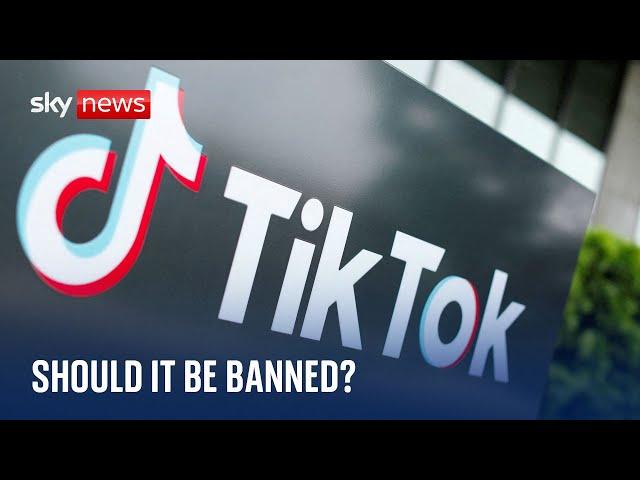 ⁣USA TikTok ban: Is it really the best solution?