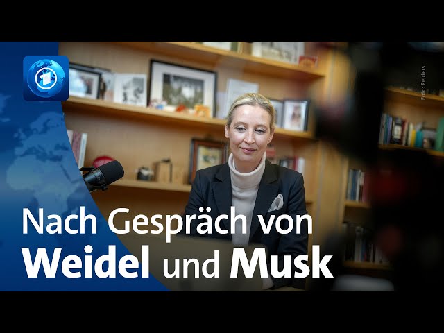 ⁣Zahlreiche Falschaussagen bei Talk zwischen Weidel und Musk