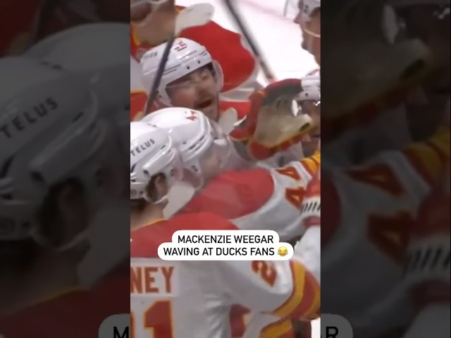 ⁣Mackenzie Weegar Trolls Ducks Fans 