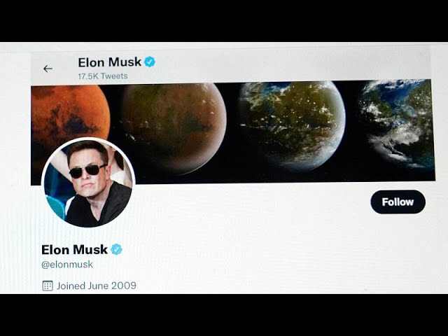 ⁣L'effet Musk : le milliardaire pourrait-il avoir un impact sur les élections allemandes ?