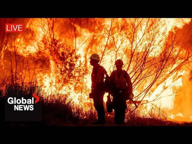 ⁣LA wildfires: Latest update on devastating blaze as death toll rises to 10 | LIVE