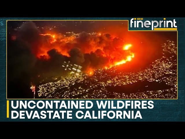 ⁣Los Angeles Wildfires: At Least Seven People Confirmed Dead, Over 150,000 Evacuated | WION