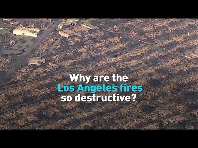 ⁣Why are the Los Angeles wildfires so destructive?