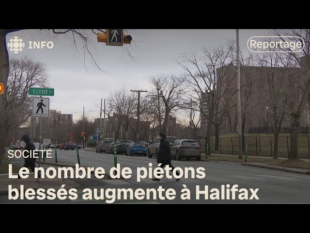 ⁣Halifax n'arrive pas à réduire le nombre de piétons blessés par année