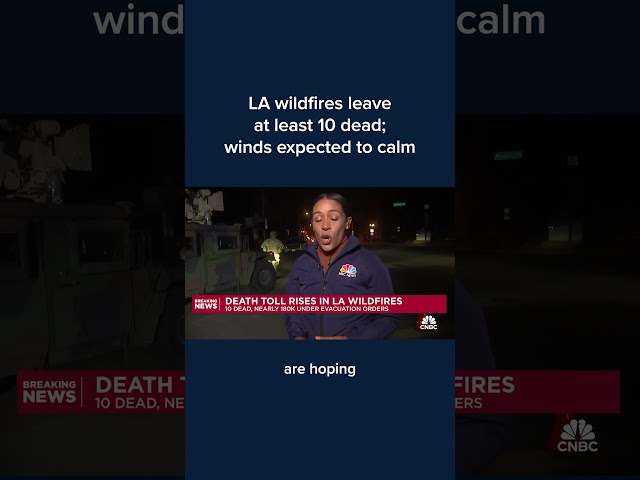 ⁣LA wildfires leave at least 10 dead; winds expected to calm