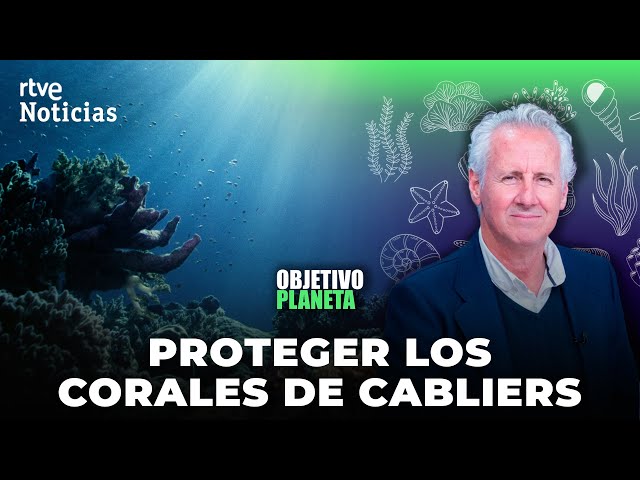 ⁣OBJETIVO PLANETA: LORENZO MILÁ Y el GRAN ARRECIFE de CORAL del MEDITERRÁNEO | RTVE