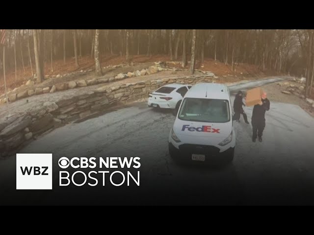 ⁣Thieves ambush FedEx driver to steal package in Harvard and more top stories