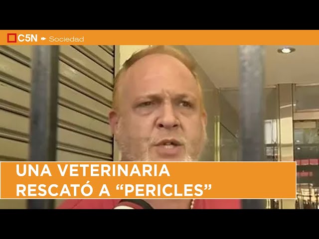 ⁣GUERRA de VECINOS en BALVANERA: una VETERINARIA RESCATÓ a "PERICLES"