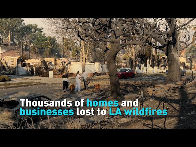 ⁣Thousands of homes and businesses lost to LA wildfires