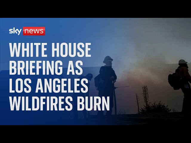 ⁣FEMA Administrator Deanne Criswell speaks at the White House Briefing