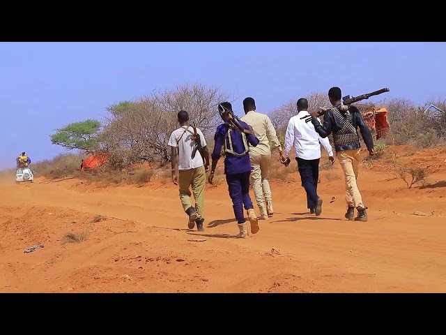 ⁣Ciidamada ammaanka gobolka Hiiraan oo howlgallo lagu qaadayo ka sameeyay degmooyinka Maxaas.