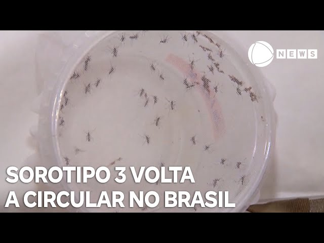 ⁣Dengue: sorotipo 3 volta a circular no país e preocupa autoridades