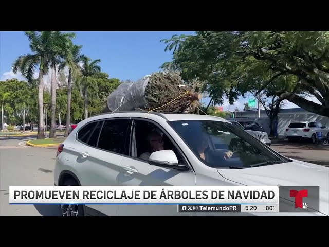 ⁣Servicarro para reciclar árboles naturales de Navidad en San Juan