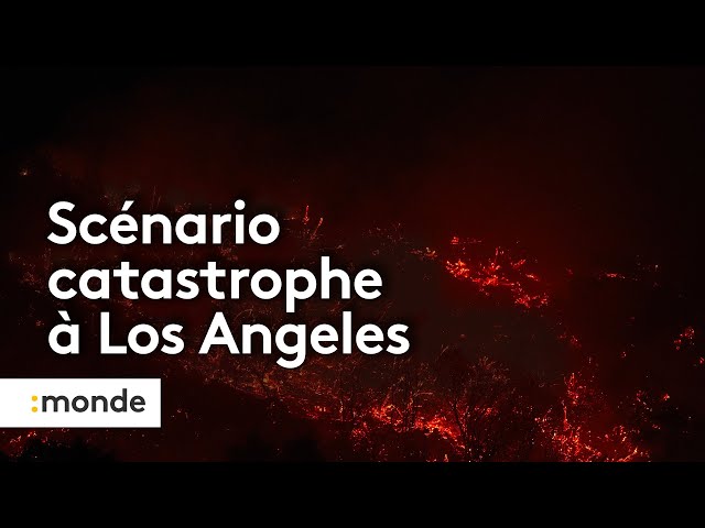 ⁣Los Angeles : un scénario catastrophe et des incendies indomptables