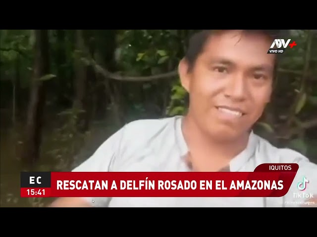 ⁣Iquitos: Salvan a delfín rosado que está en peligro de extinción en el Amazonas