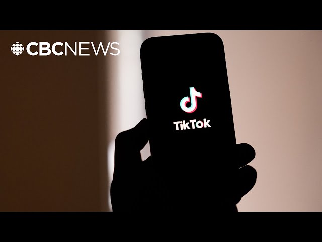 ⁣U.S. Supreme Court signals it will uphold law banning TikTok