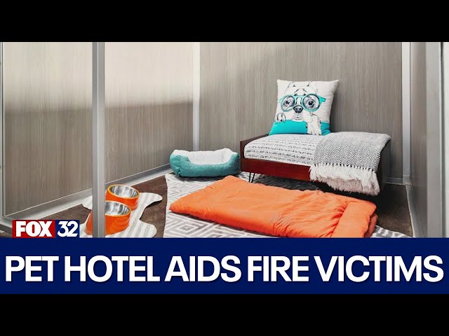 River North pet hotel helping Los Angeles fire victims