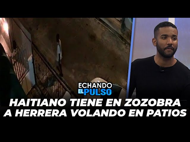 ⁣Este haitiano que tiene en zozobra a Herrera volando en patios | Echando El Pulso