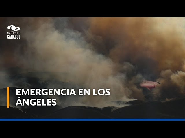 ⁣Emergencia en Los Ángeles: diez muertos deja incendio en California