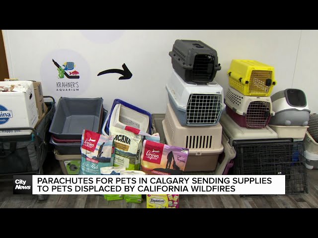 ⁣Pets for Parachutes in Calgary aims to help pets displaced by California wildfires