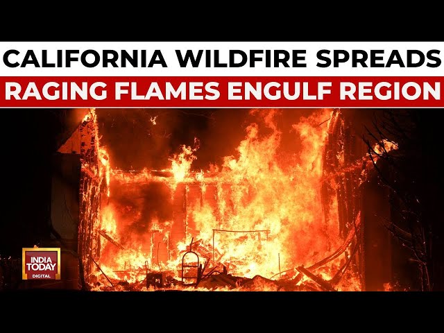 ⁣California Wildfire LIVE: Massive Fire In Los Angeles, Fire In Hollywood Hill, Rescue Ops Underway