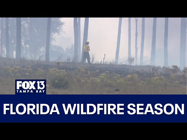 ⁣Florida fire officials run drills in preparation for wildfire season, droughts