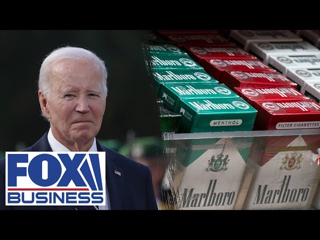 ⁣Biden admin ‘just empowered crime,’ expert warns