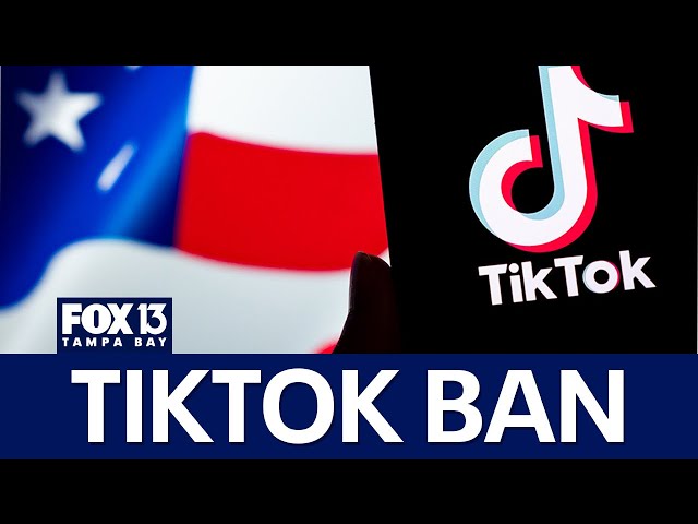 ⁣Supreme Court considers possible TikTok ban