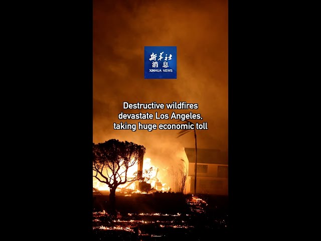 ⁣Xinhua News | Destructive wildfires devastate Los Angeles, taking huge economic toll