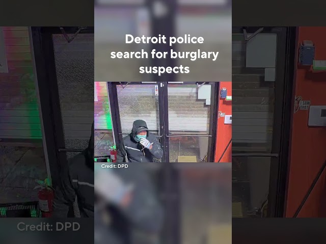 ⁣Detroit police search for burglary suspects