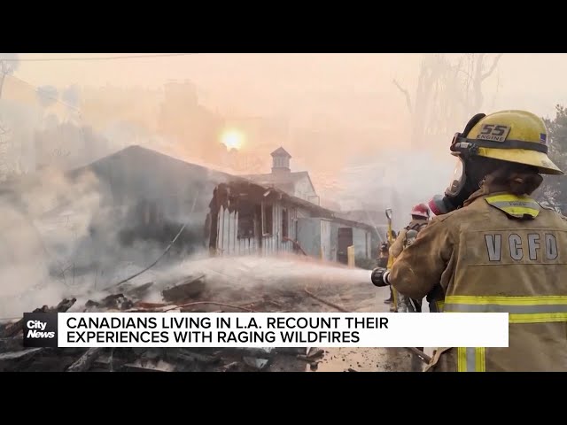 ⁣Canadians living in L.A. recount their experiences with raging wildfires