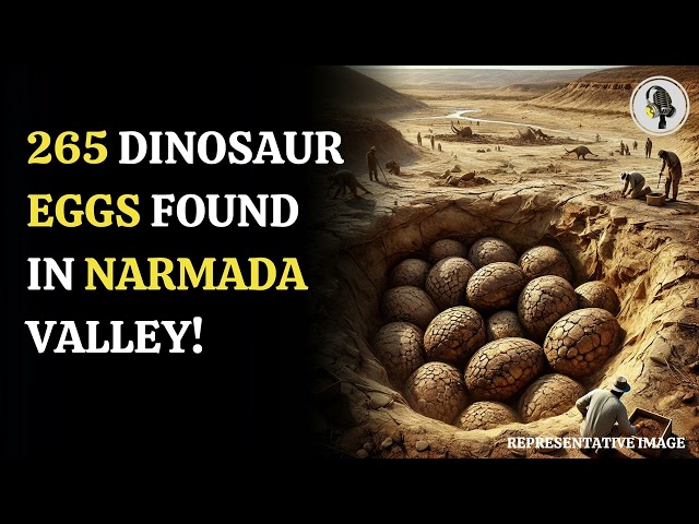 ⁣India Unearths 265 Dinosaur Eggs in Madhya Pradesh's Narmada Valley! | WION Podcast