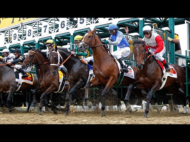 ⁣‘Forget about the rain’: Race day attendees react to Magic Millions being postponed