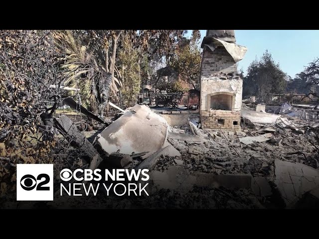 ⁣LA likely faces insurance crisis after California fires