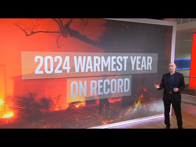 ⁣2024 confirmed as hottest year on record