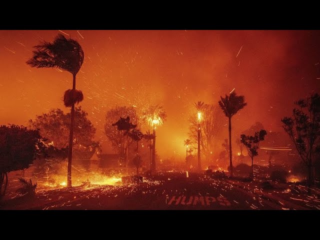 ⁣Feux de forêt en Californie : le bilan s'alourdit, un couvre-feu instauré la nuit