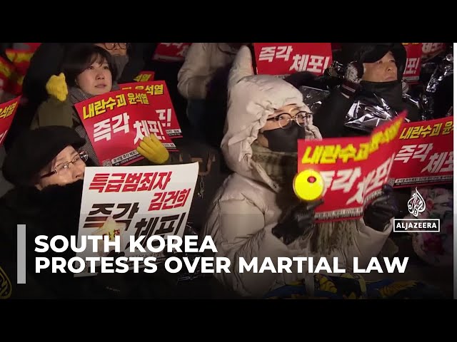 ⁣Colourful demonstrations in Seoul: Protesters take their cues from K-pop stars