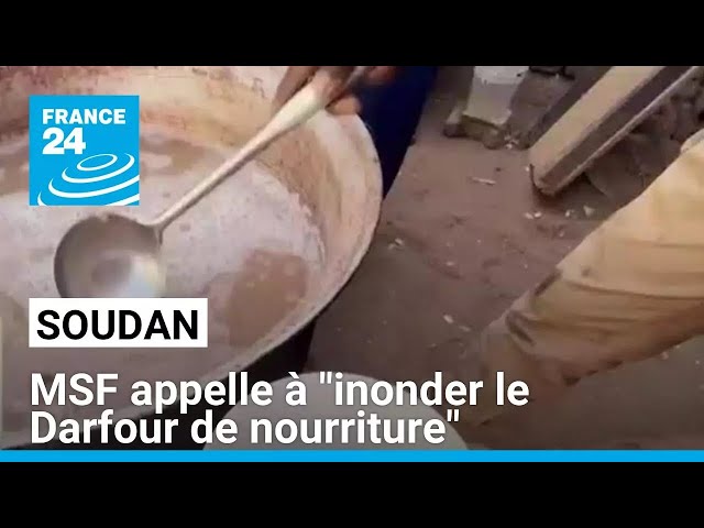 ⁣Soudan : Médecins Sans Frontières appelle à "inonder le Darfour de nourriture" • FRANCE 24